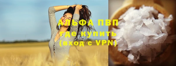 индика Струнино
